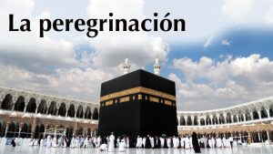 SP - Curso 7: La Peregrinación